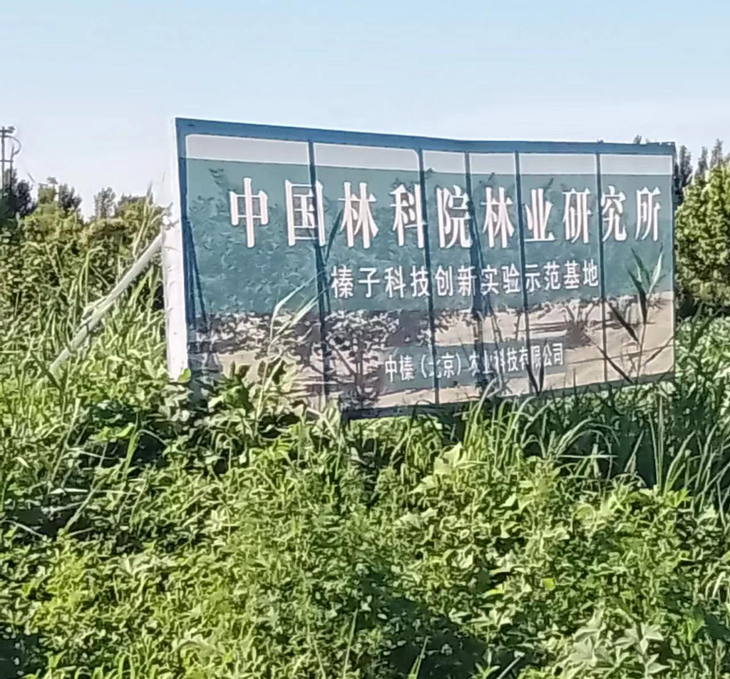 303.jpg